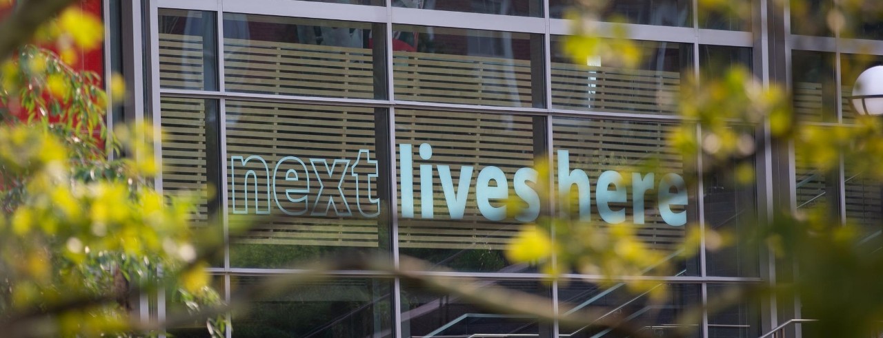 Close up view of a window that displays the UC logo "Next Lives Here"